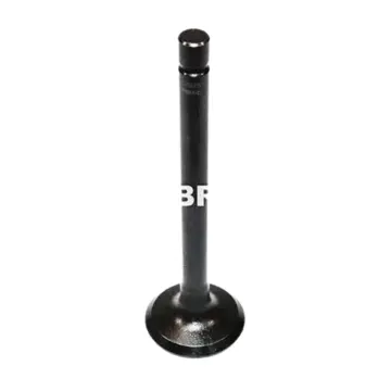 KMP Valve Inlet U20176250