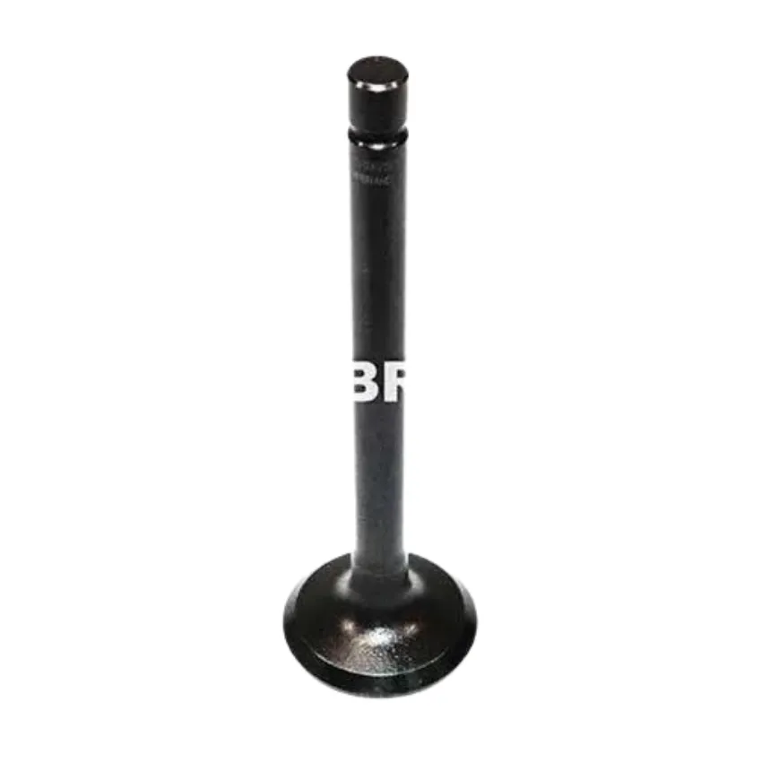KMP Valve Inlet U20176250