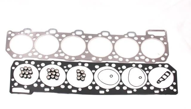 KRP1529 IEP